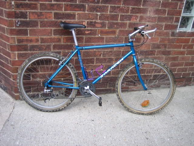 saracen007.jpg