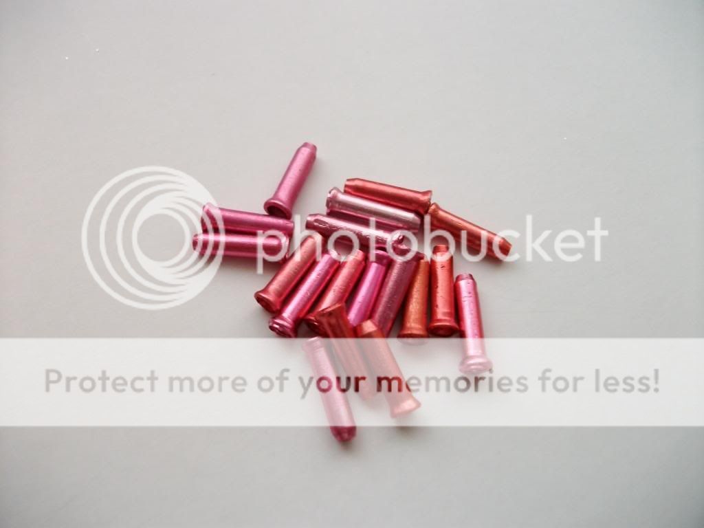 IMGP2681.jpg