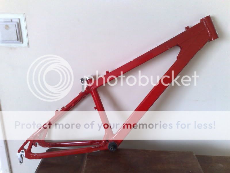 12042010769.jpg