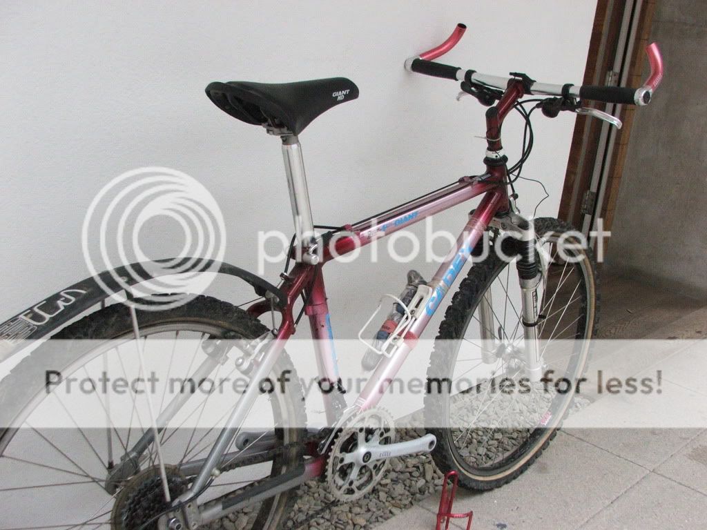 DSCF8134.jpg