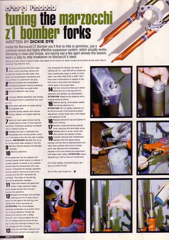 z101web.jpg