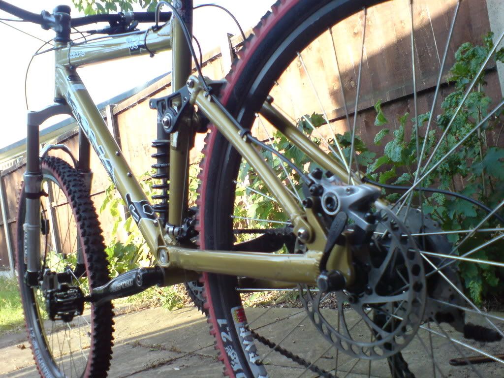 Picture081.jpg