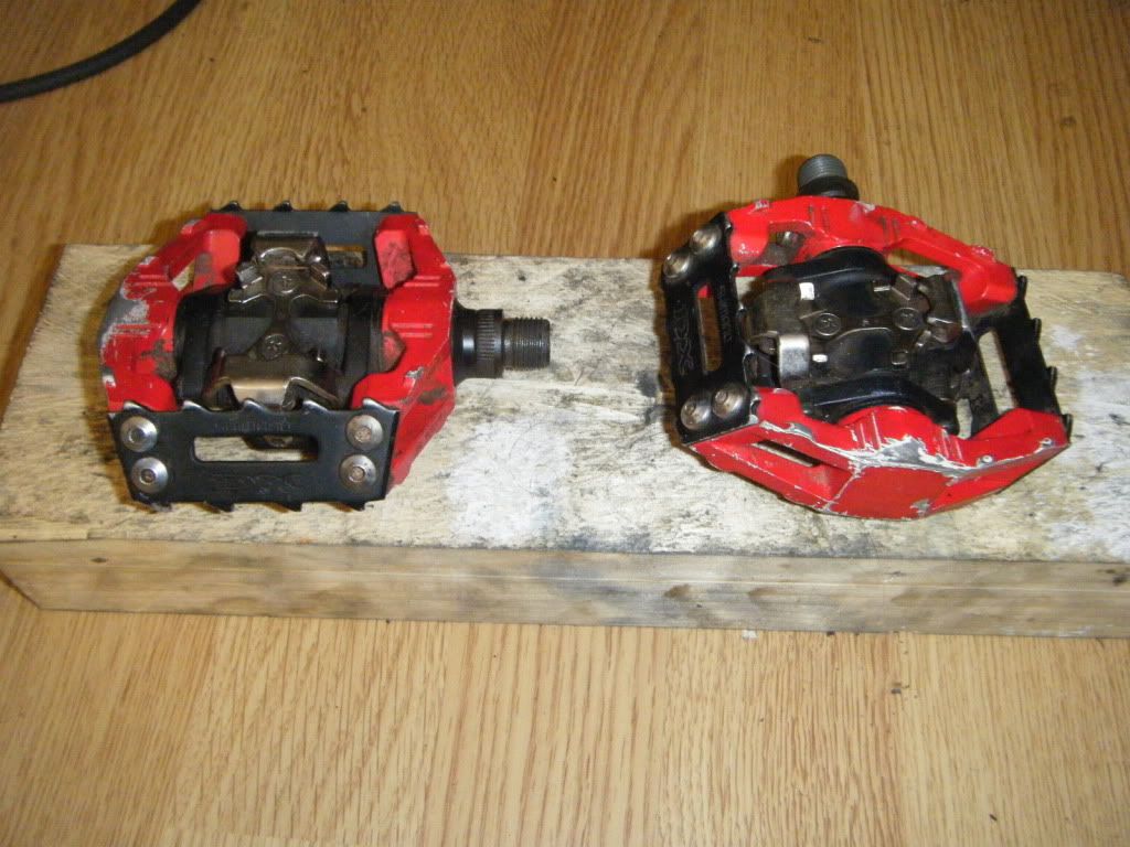 dscf5437.jpg