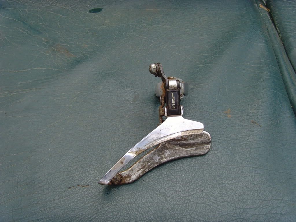 SNV34023.jpg