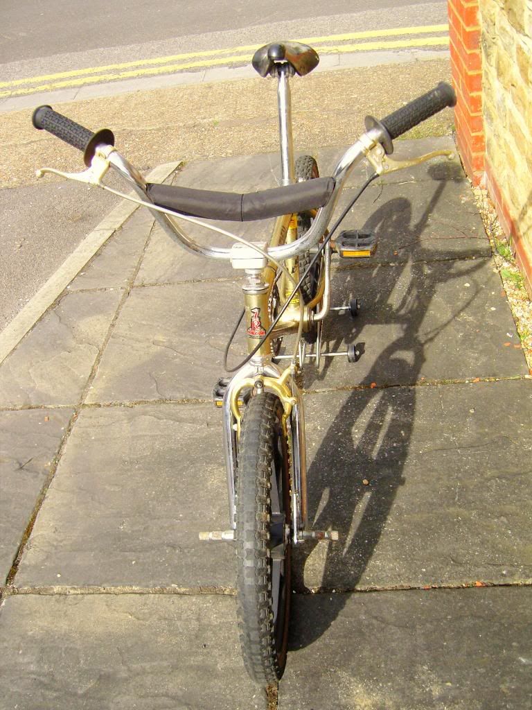 SNC10209.jpg