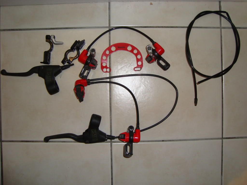 Adambike010-2.jpg