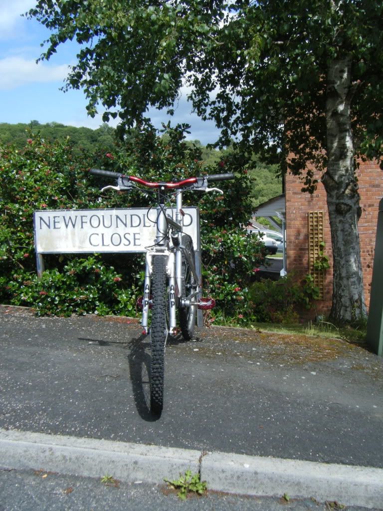 dscf3645.jpg