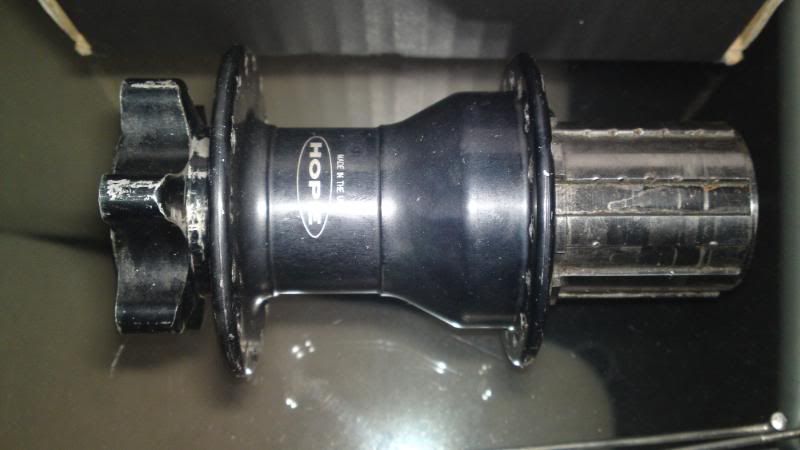 038-3.jpg