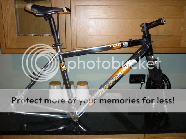 Gitane001.jpg