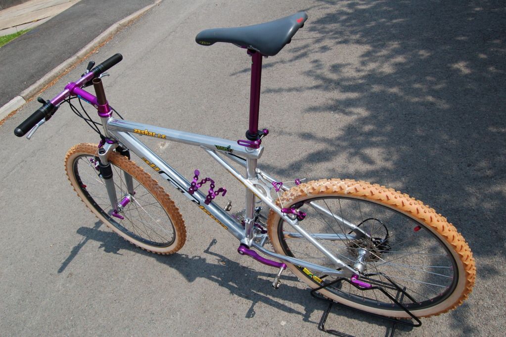 Zaskar_purp021.jpg