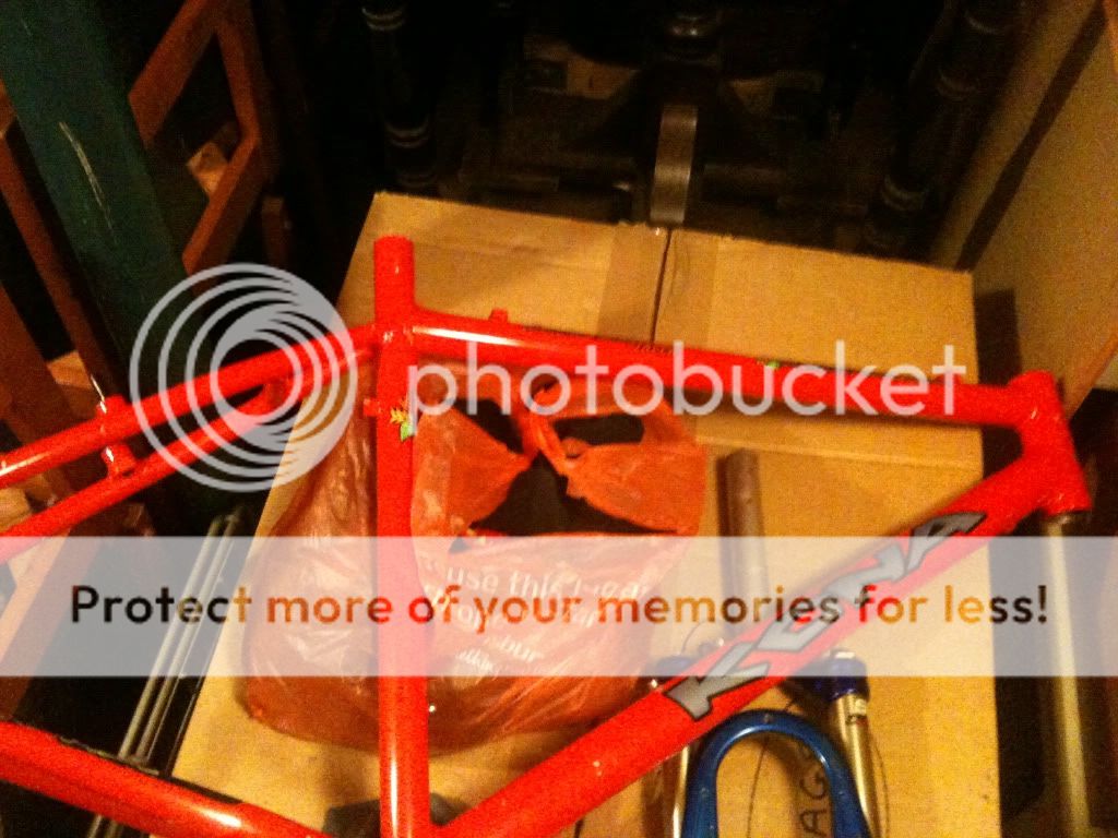 Picture001-5.jpg