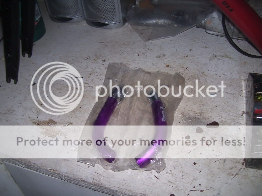100_5483.jpg
