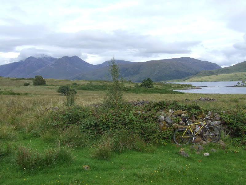 DSCF2613.jpg