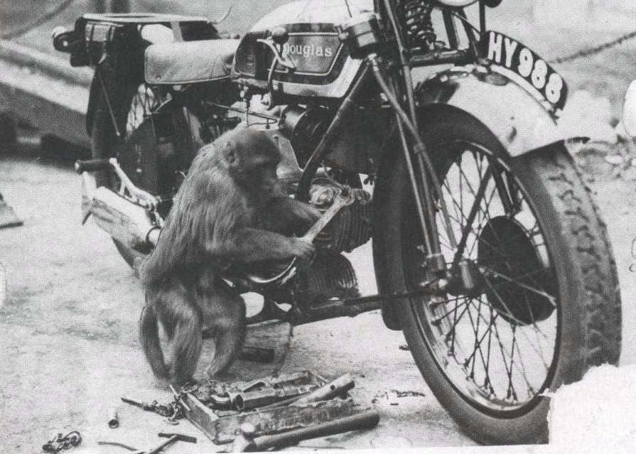 monkey_mechanic.jpg