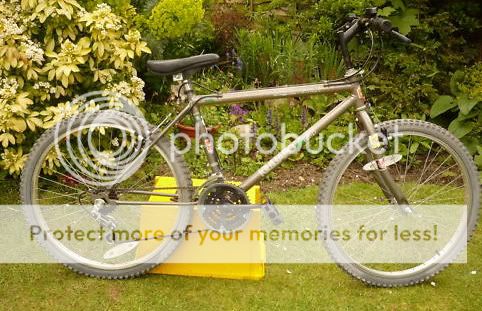 bike1.jpg