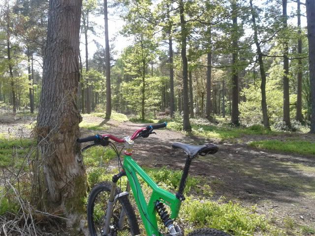2013-05-25151026_zpsfefd6225.jpg