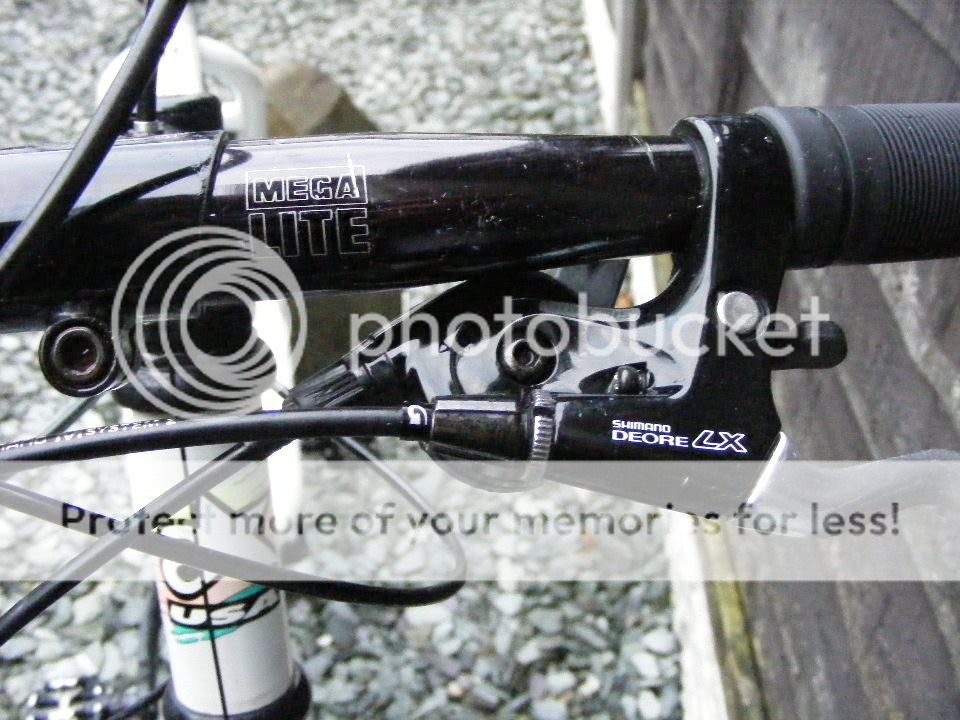 2010_1120lx0045-1.jpg