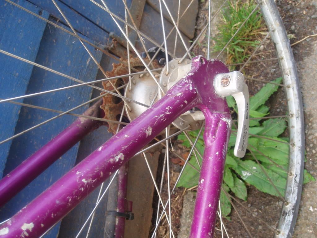 Bike010.jpg