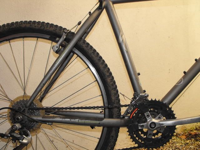 Rockhopper003.jpg