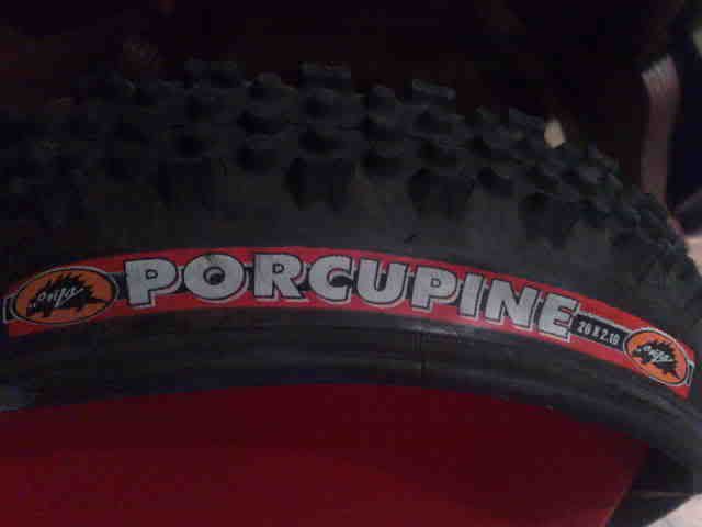 070120101645.jpg