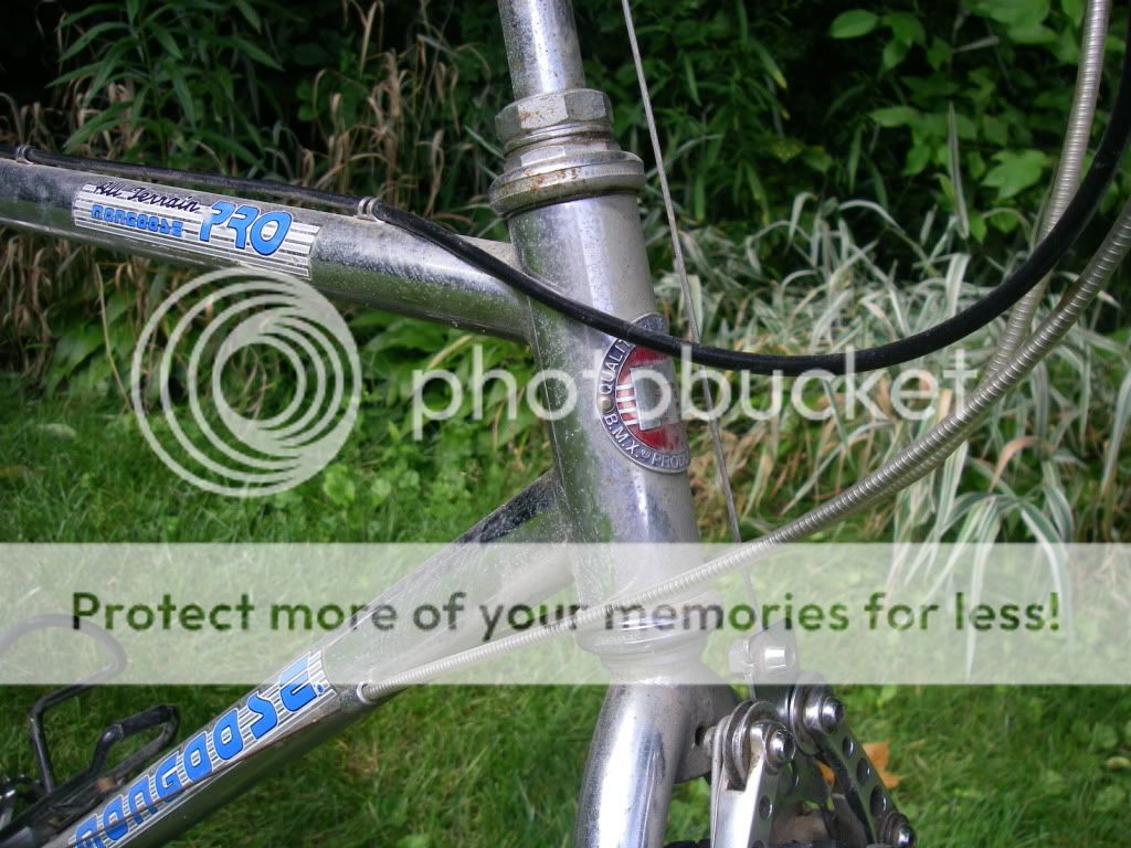 IMGP1154.jpg