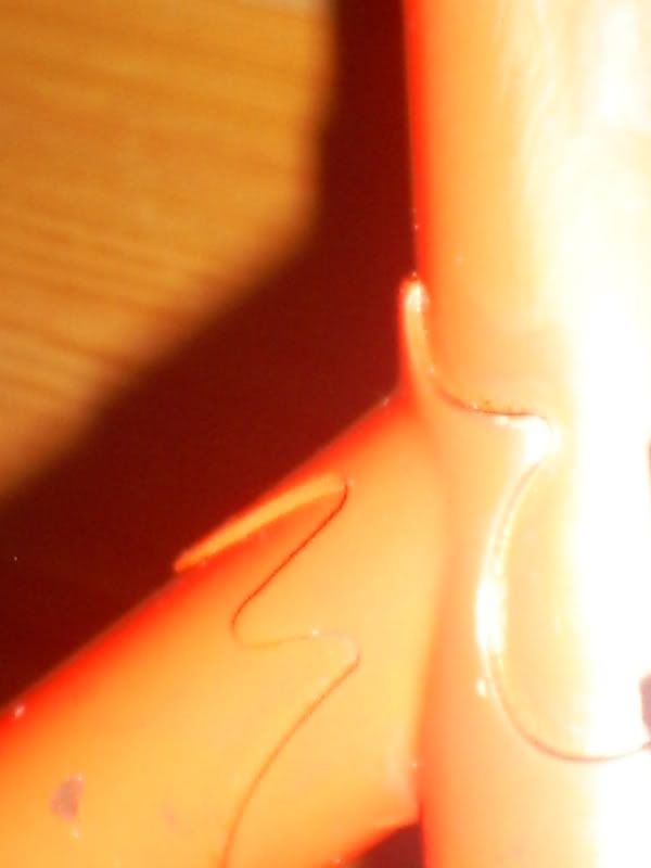 S5030695.jpg