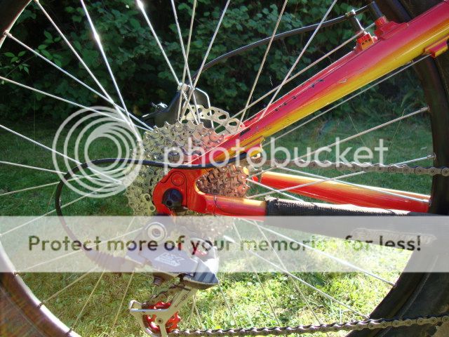 DSC09330_zpszwsj5hji.jpg