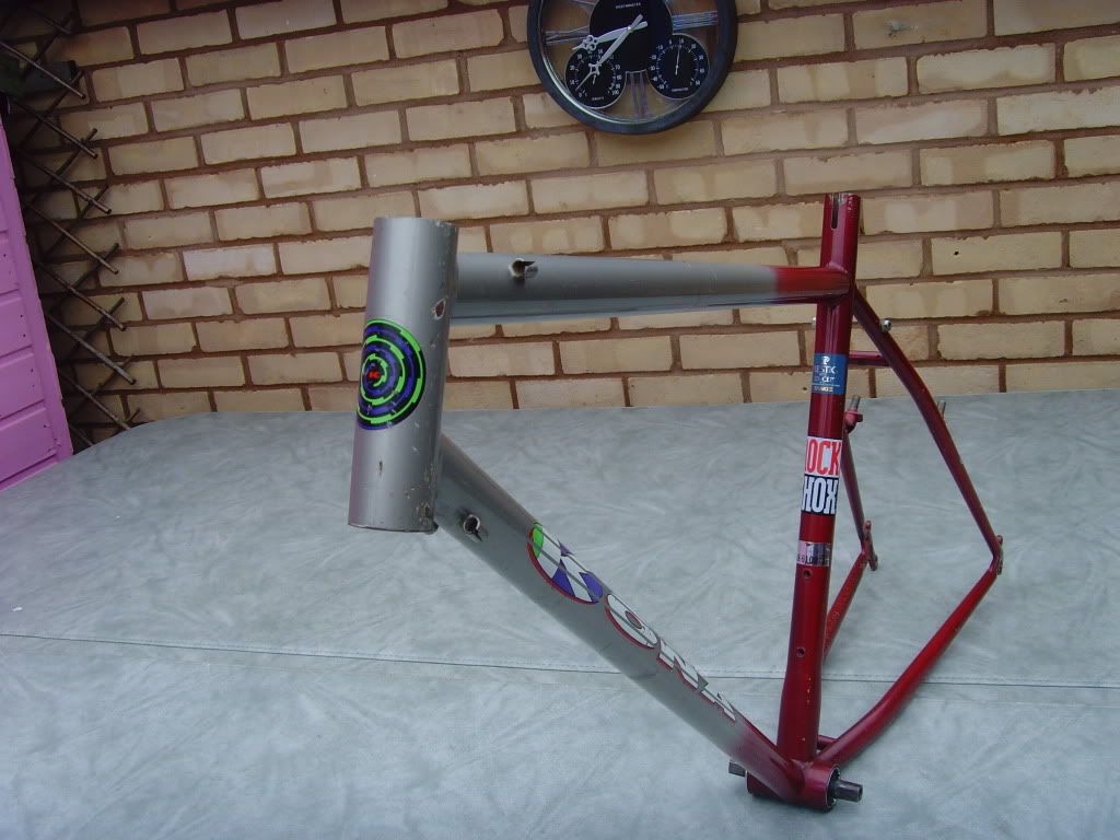SNV36486.jpg