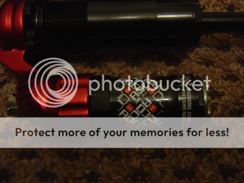 p4pb9385398_zps9fd84688.jpg