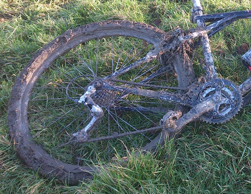 SouthDownsClart_zps9c08fc2c.jpg