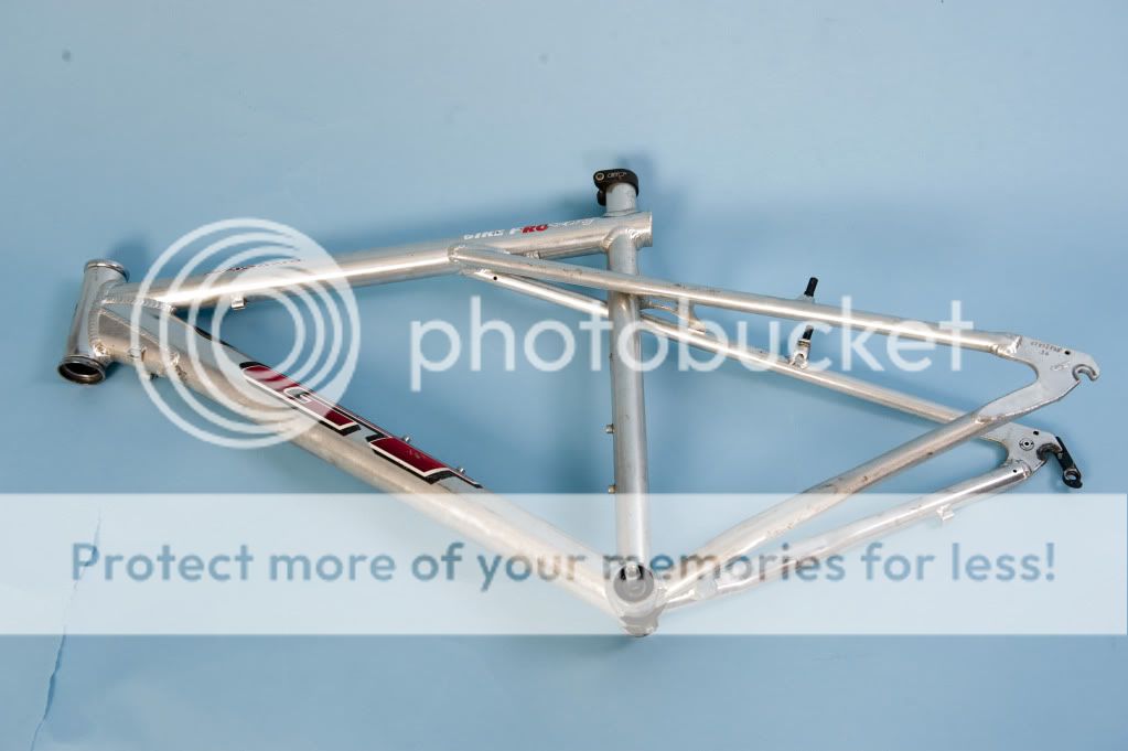 PD1_1451.jpg