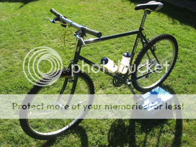 SaracenRufftrax016.jpg