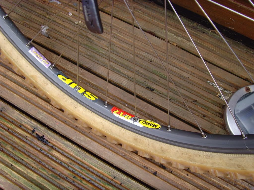 SNV35564.jpg