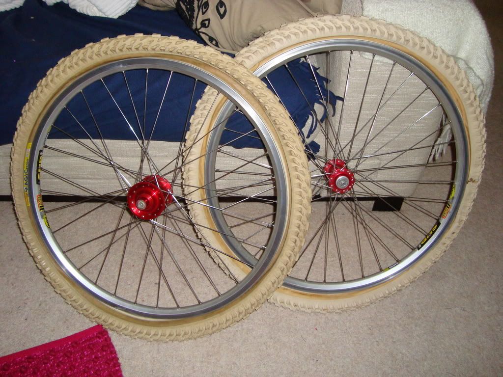 Adambike022-1.jpg