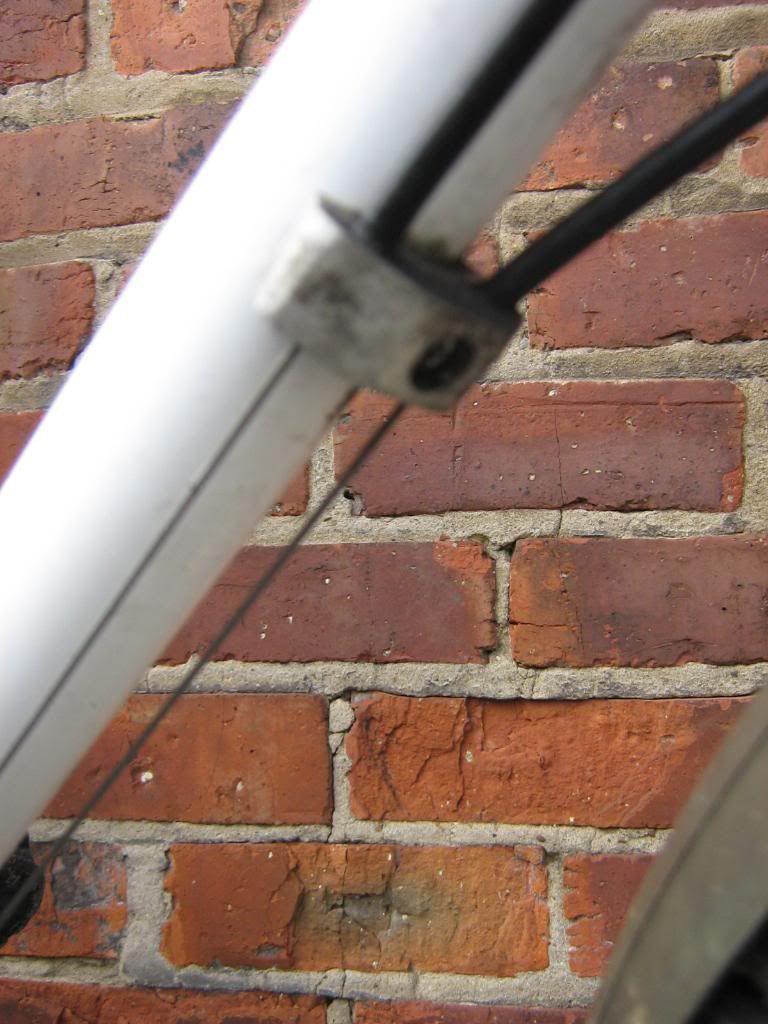 Picture134.jpg