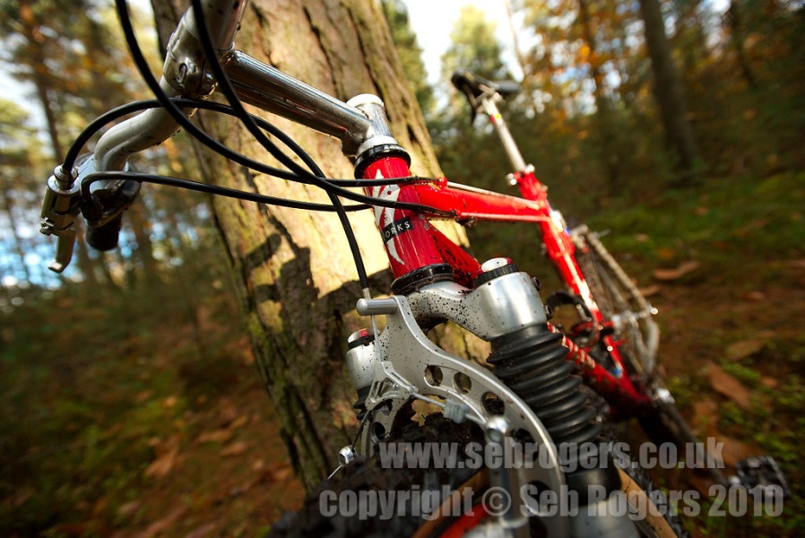 20110209SWorks5.jpg