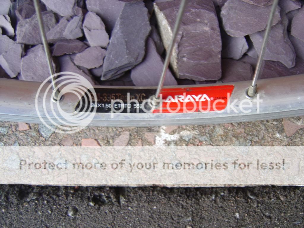 DSC09890.jpg