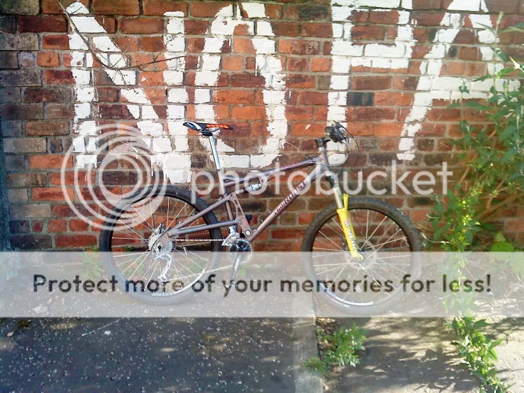 DSC00231.jpg