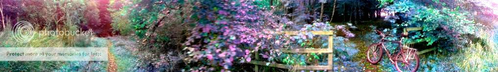 2012-10-14102714-1.jpg