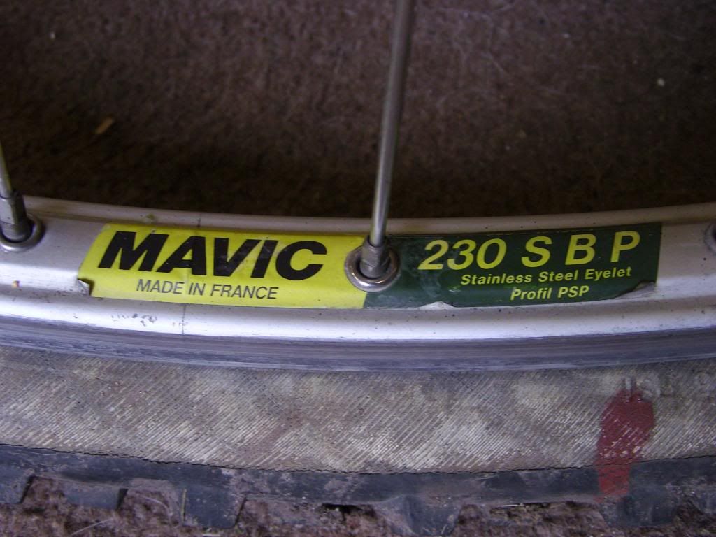 SNB11742.jpg