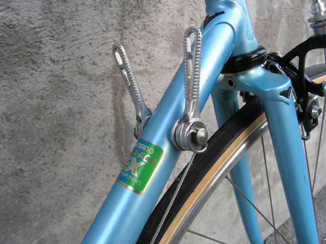 schor8.jpg