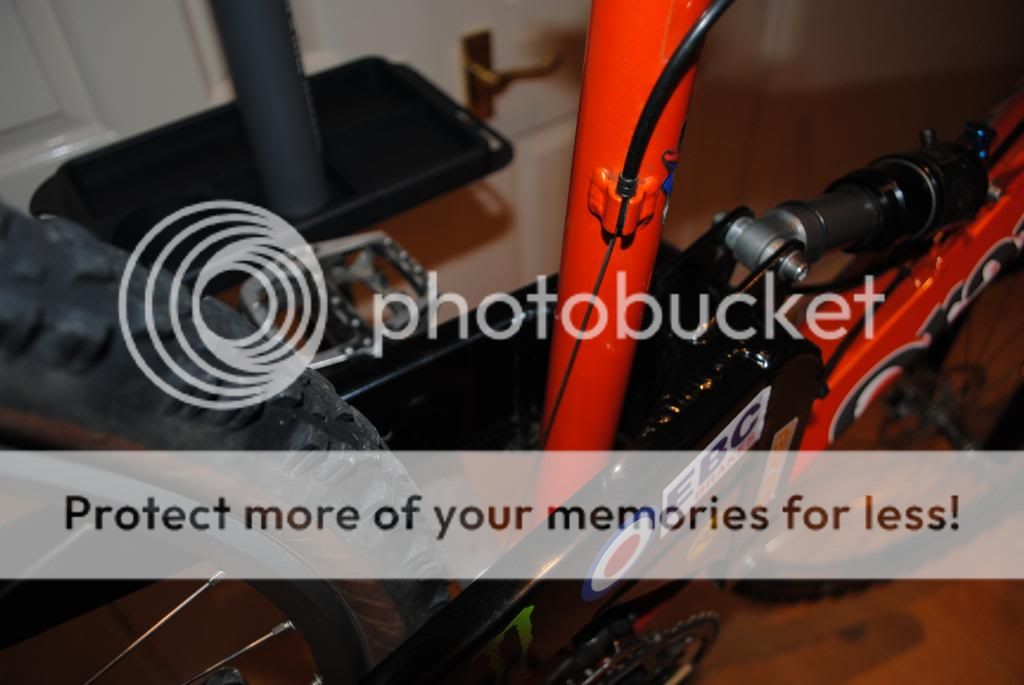 DSC_0294_zps9c40cf1a.jpg