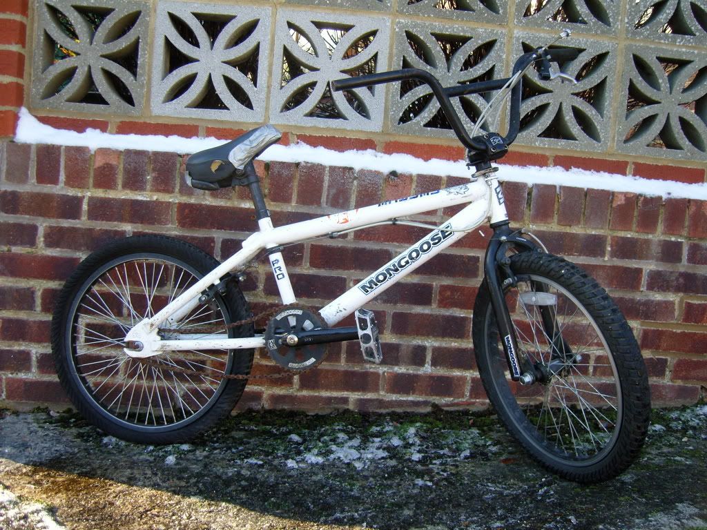 andybmx027.jpg