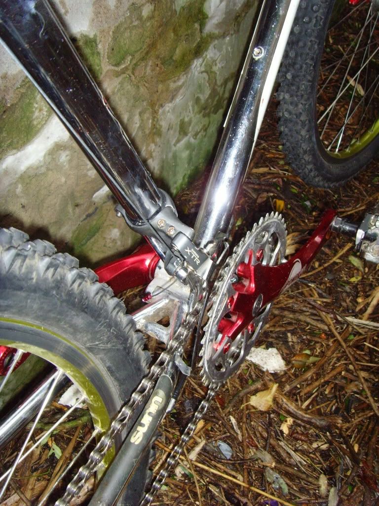 SNV30373.jpg