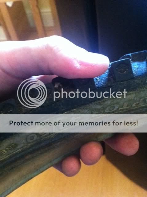 photo44.jpg