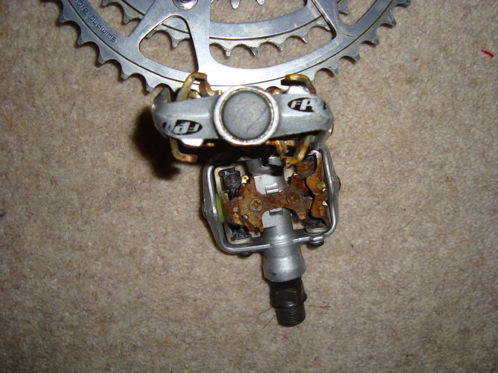 Adambike066.jpg
