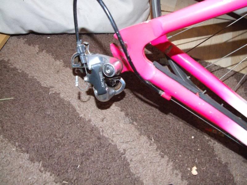 DSCF1518.jpg