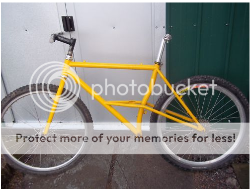 Picture3.png