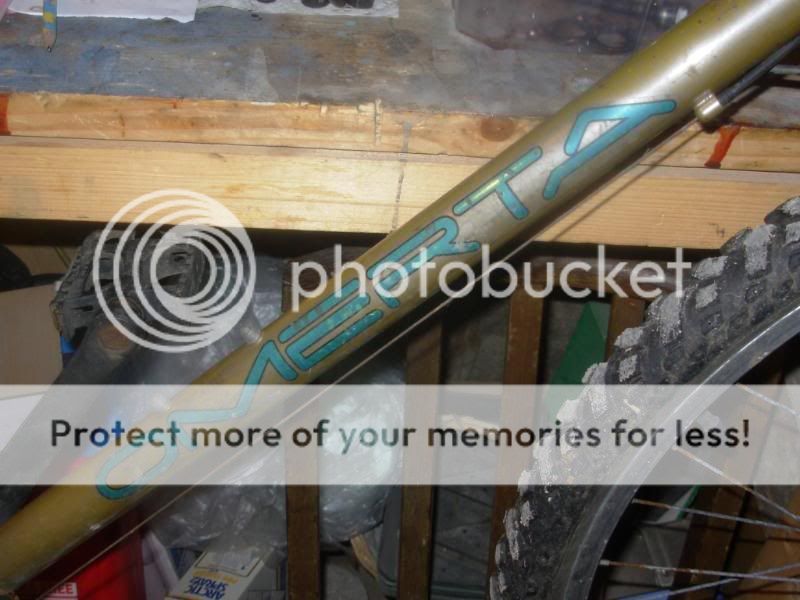 bianchi046.jpg