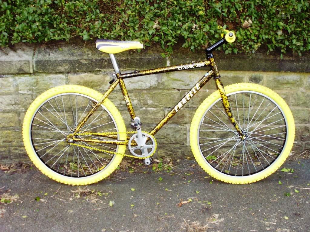 fixie2001.jpg